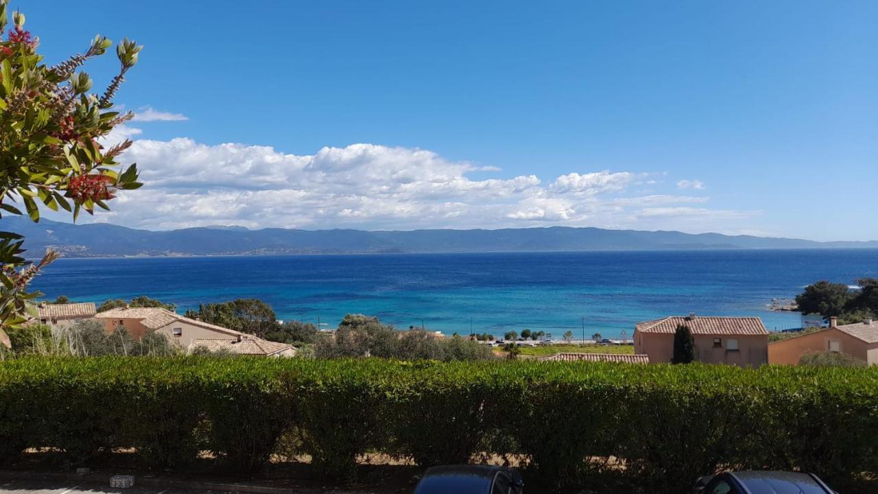 אז'אקסיו Marinella, Vue Mer Panoramique, Superbe T2 Plage A 150 M מראה חיצוני תמונה
